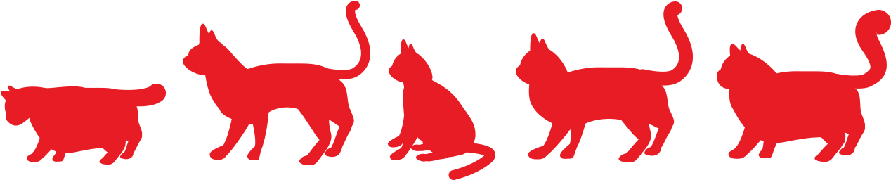 Katzenrassentest