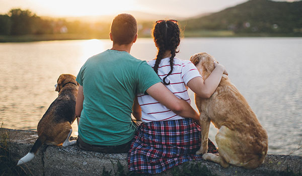 Paar mit zwei Hunden