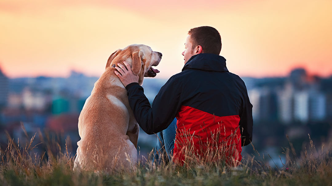 Mann und Hund beobachten den Sonnenaufgang