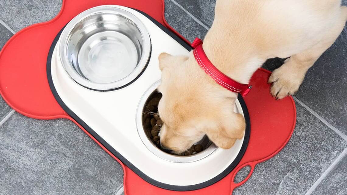 Dog food puppy dry listing page