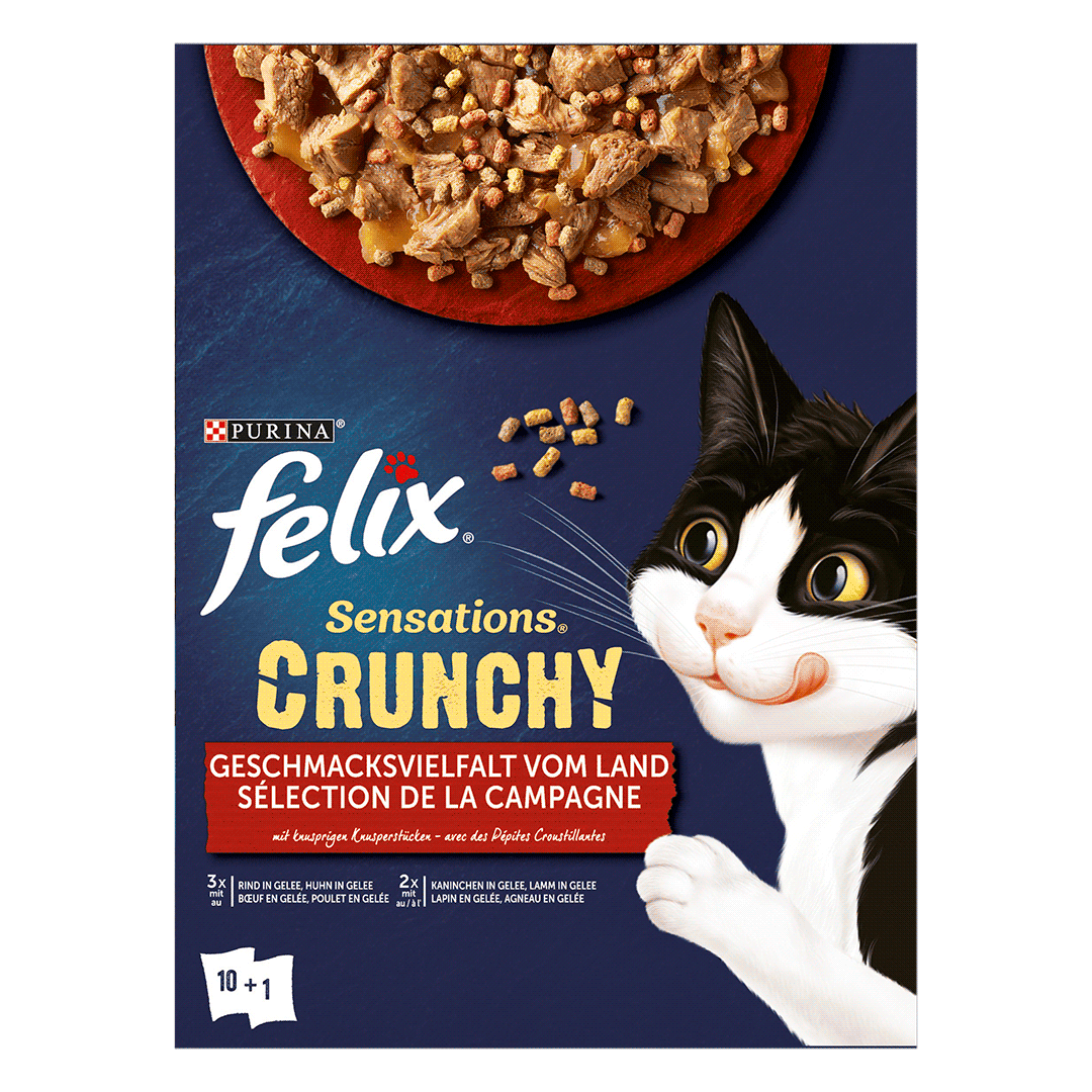 Felix sensations crunchies cat deals food