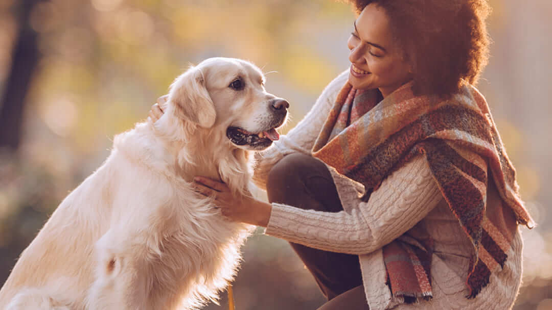 Frauchen und Hund sitzen auf Treppe