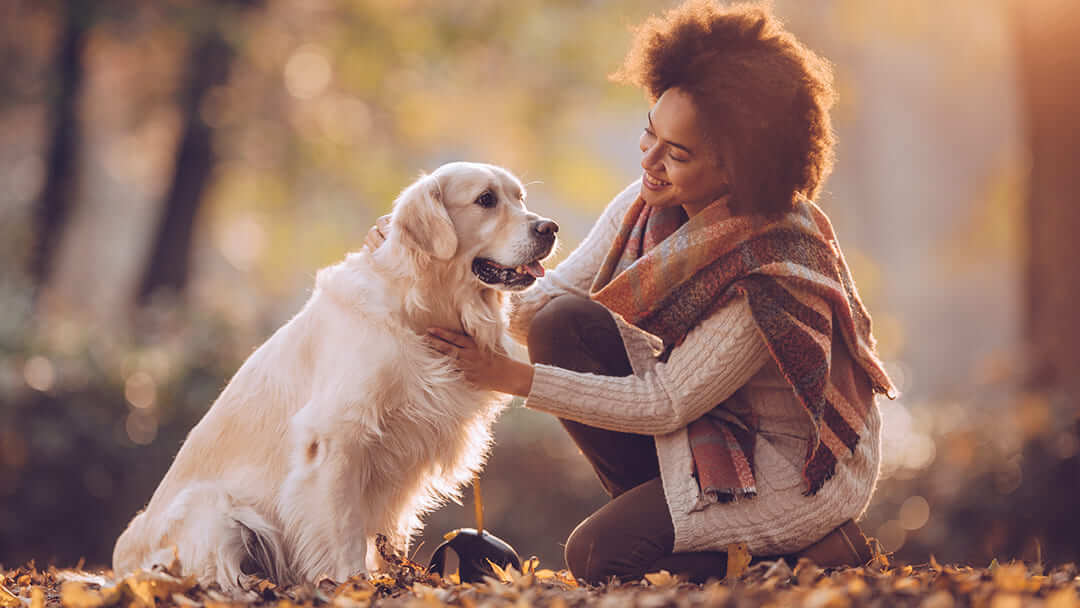 Hund kommuniziert mit seinem Frauchen