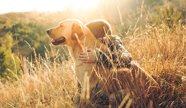 Junge mit Hund