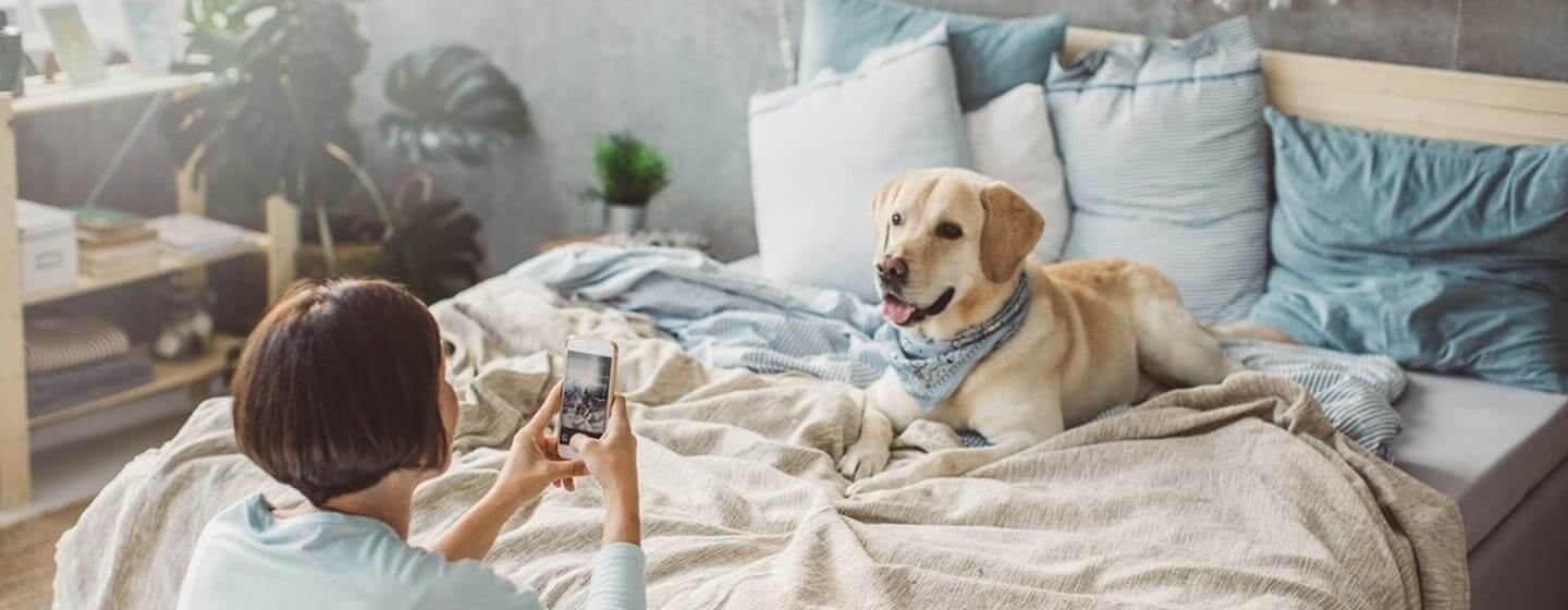 Frau fotografiert Hund