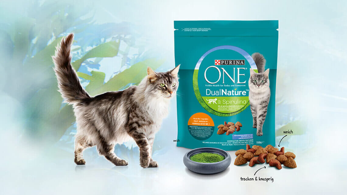Purina ONE Dual Nature listing page