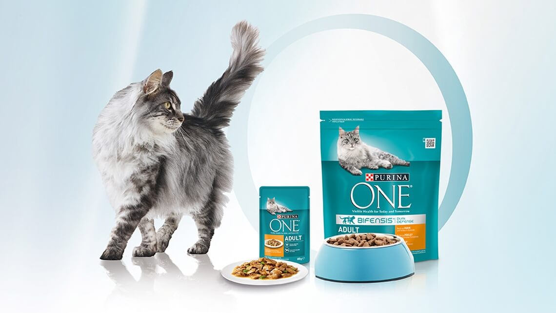 Purina ONE Bifensis listing page