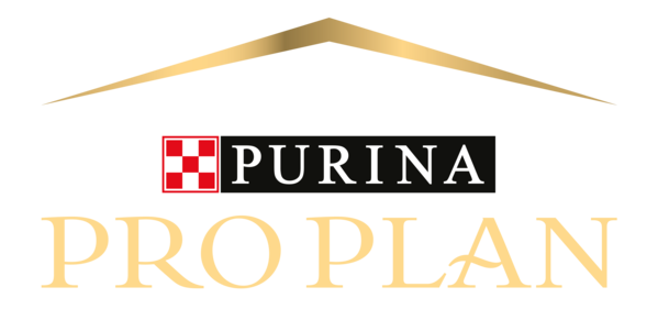 Pro Plan Logo
