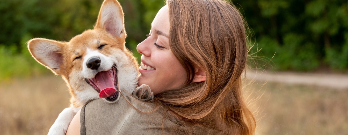 Hundebesitzerin hält glücklichen Corgi auf dem Arm