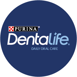 DENTALIFE logo