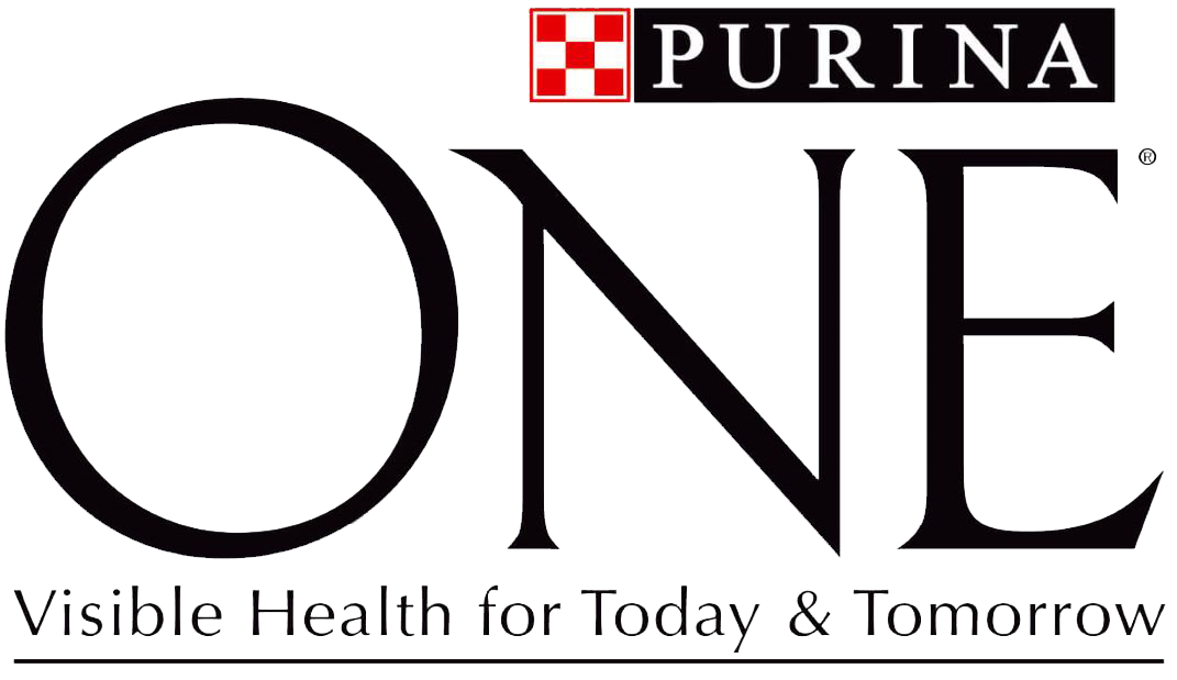 Rurina ONE