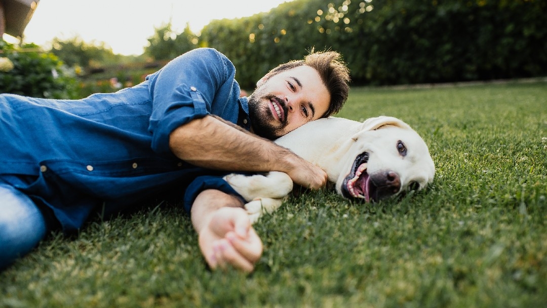 Ein Mann und sein Labrador Retriever schmusen im Freien