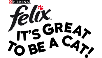 Felix logo