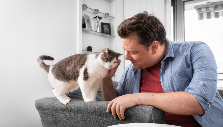 Ein Mann streichelt seiner Katze das Gesicht, während sie auf der Sofalehne steht