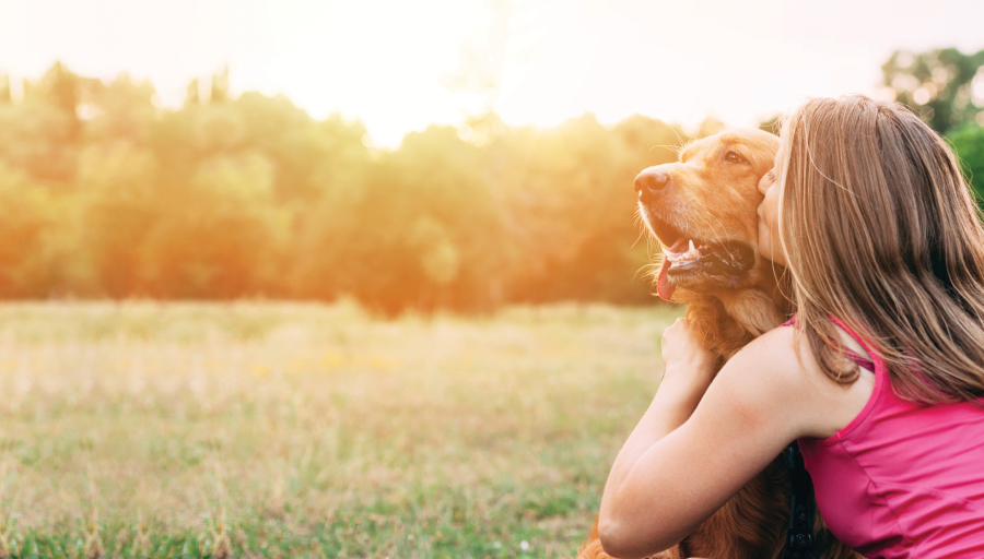 Frau sitzt mit ihrem Hund auf einem Feld und küsst sein Gesicht
