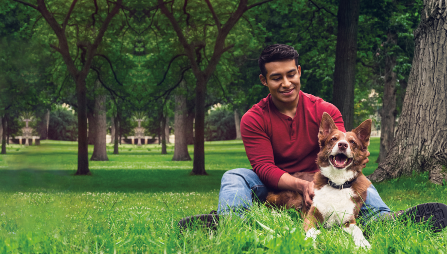 Mann sitzt mit seinem Hund auf einer Wiese unter Bäumen