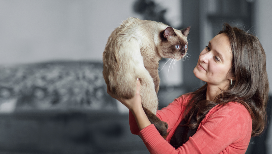 Eine Frau schaut ihrer Katze ins Gesicht, während sie sie in die Luft hebt