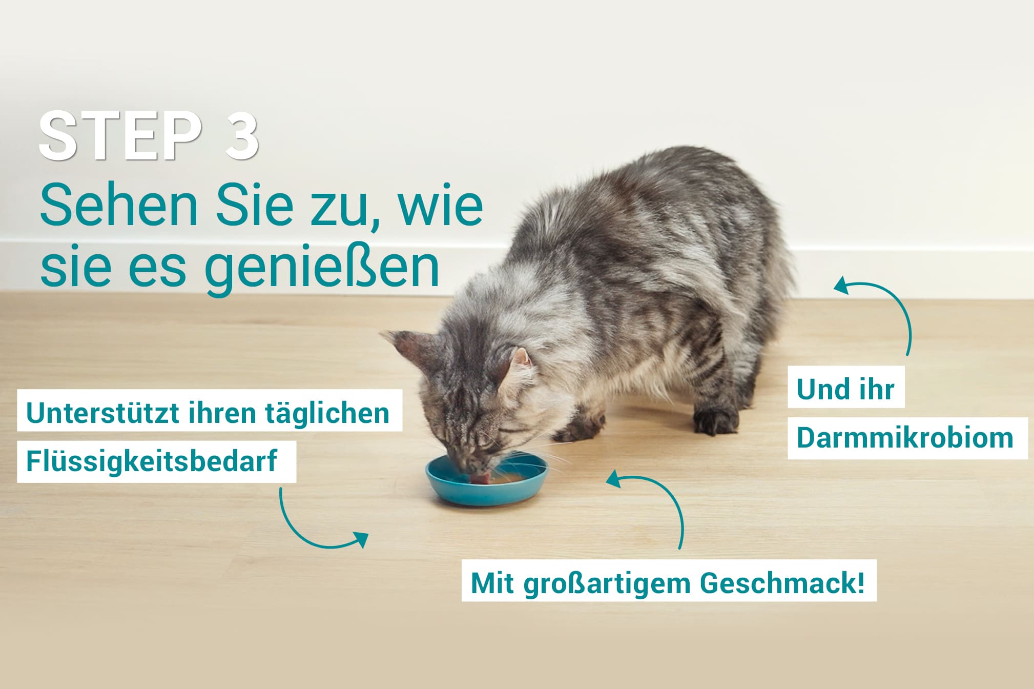 PONE Schritt 3