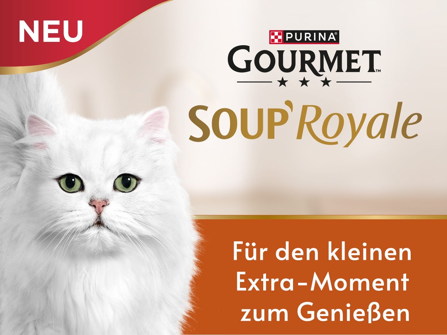 Gourmet Soup Royale