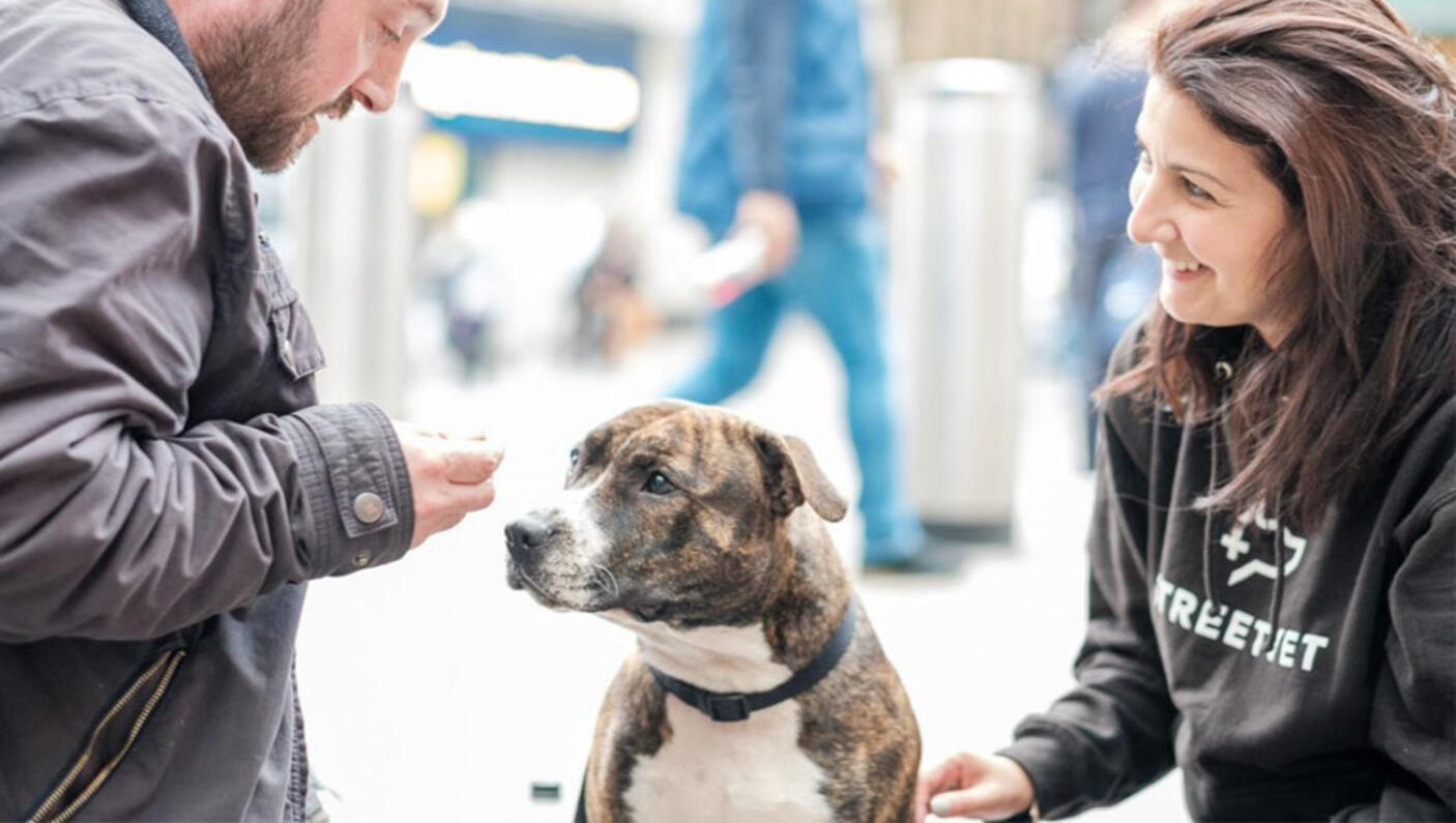 Outreach funktioniert mit Hunden auf der Straße