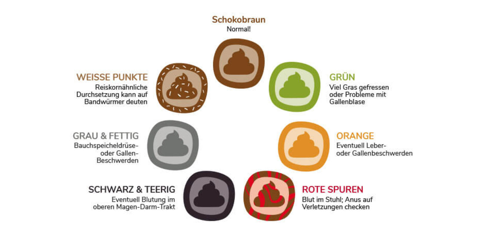 Farbpalette für Hundekot
