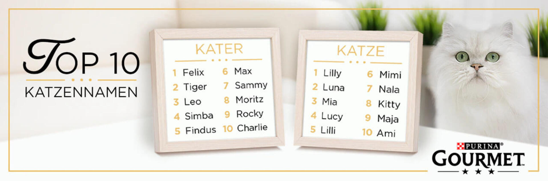 Top 10 Katzennamen