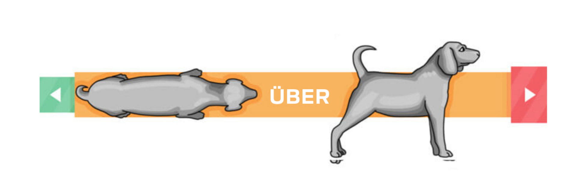 Übergewichtiger Hund.
