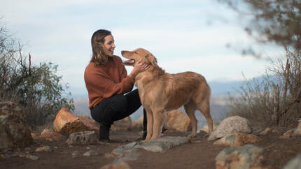 Golden Retriever mit Besitzer auf Bergpfad