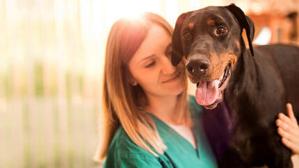 Hund mit Besitzerin