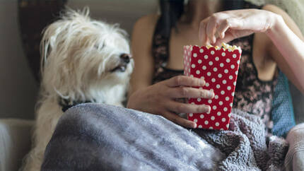 Kleiner Hund und Besitzerin essen Popcorn