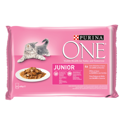 Purina ONE® Junior mit Lachs und Karotten
