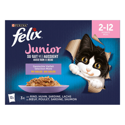 FELIX So gut wie es aussieht Junior Gemischte Vielfalt Vorderansicht
