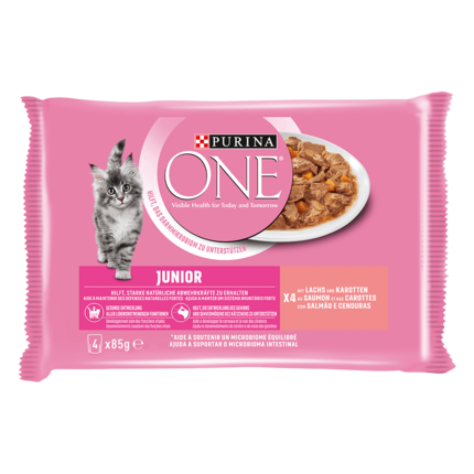 Purina ONE® Junior mit Lachs und Karotten