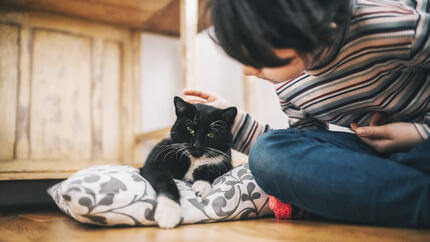 Traurige Katze mit Frau