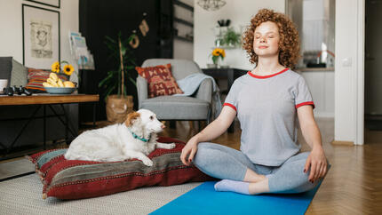 Hunde Mediation: Was es ist und wie es funktioniert