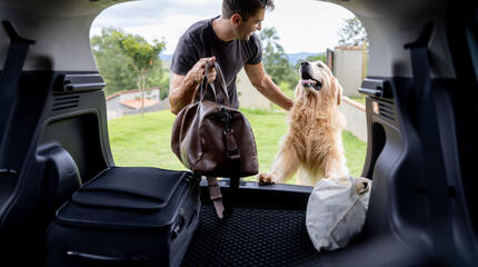 Mann mit Hund bereitet sich auf eine Autofahrt vor.