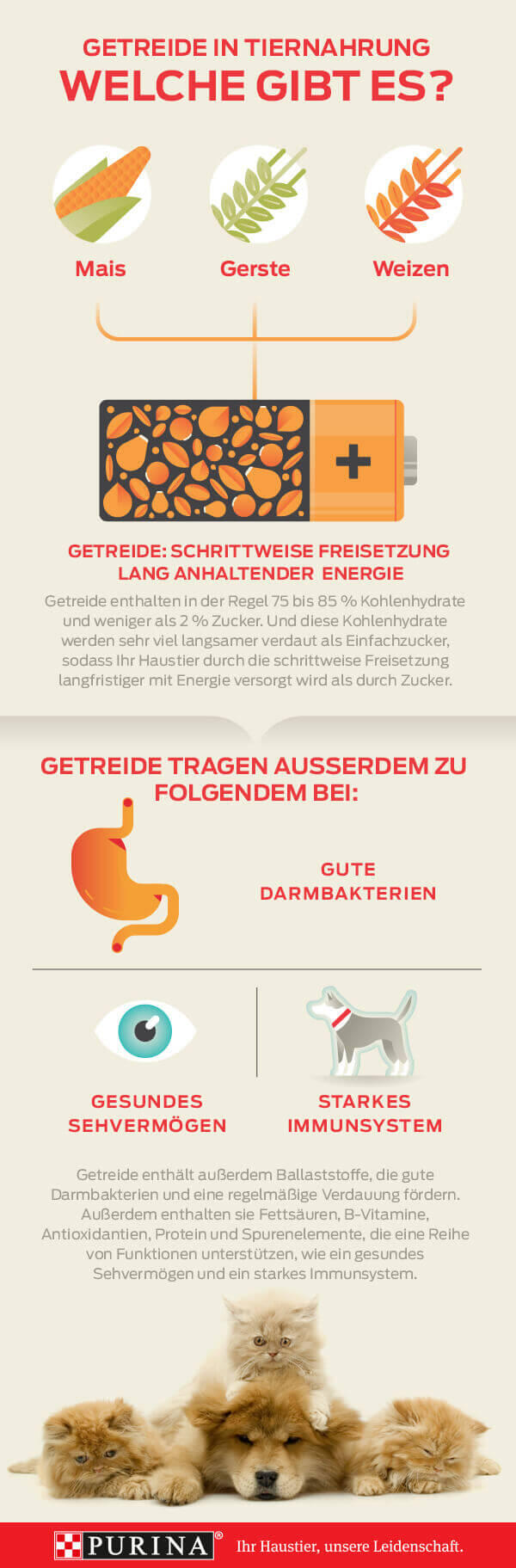 Körner Infografik