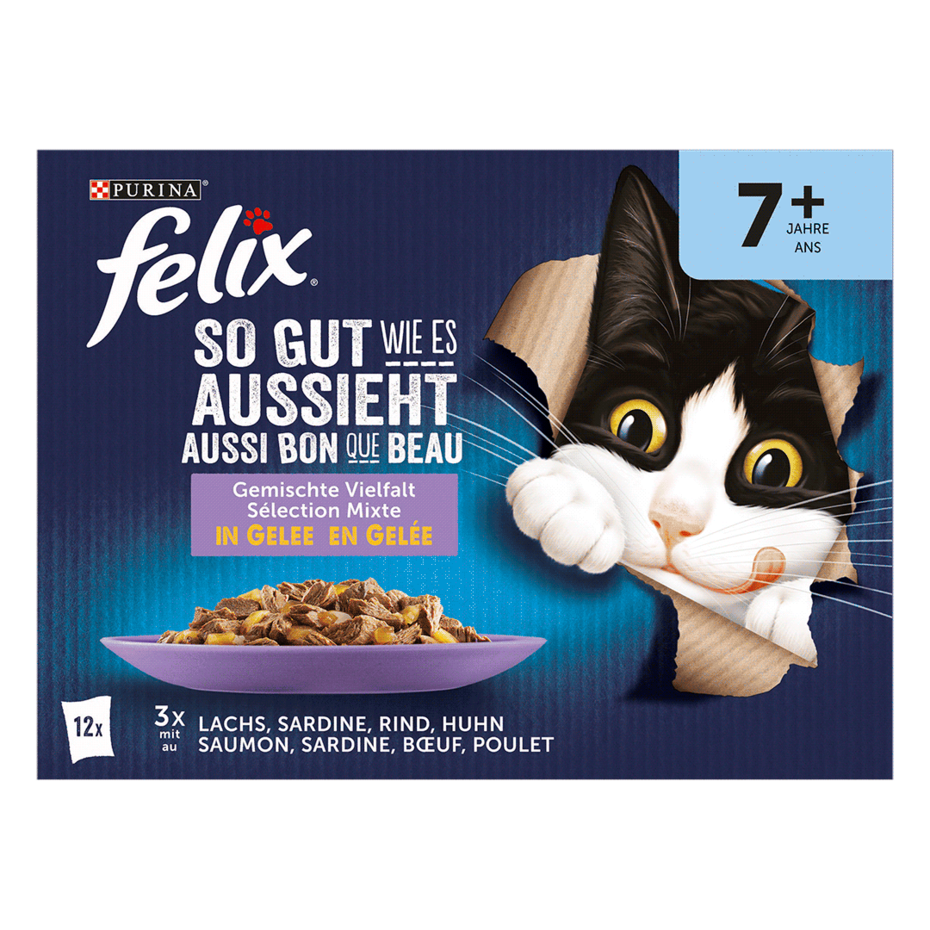 FELIX So gut wie es aussieht Senior Gemischte Vielfalt Vorderansicht