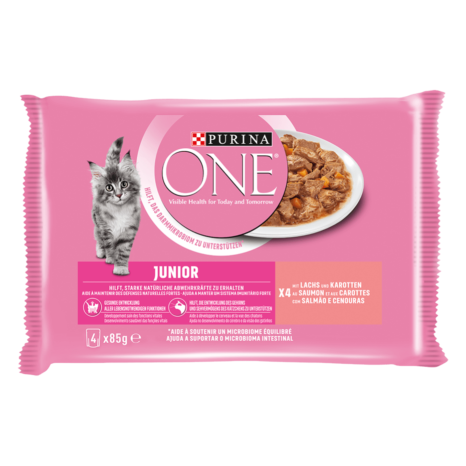 Purina ONE® Junior mit Lachs und Karotten