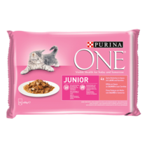 Purina ONE® Junior mit Lachs und Karotten