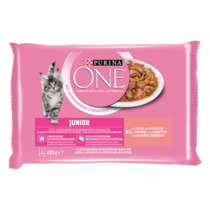 Purina ONE® Junior mit Lachs und Karotten