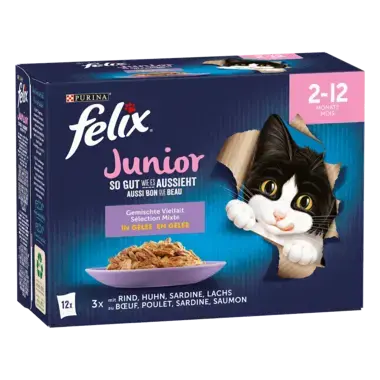 FELIX So gut wie es aussieht Junior Gemischte Vielfalt Seitenansicht