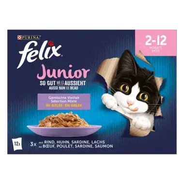 FELIX So gut wie es aussieht Junior Gemischte Vielfalt Vorderansicht