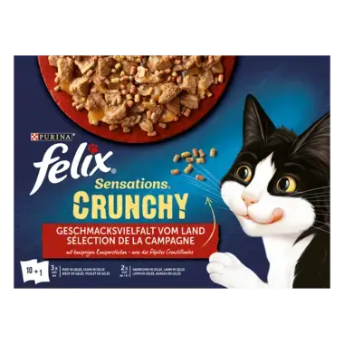 FELIX® Sensations Crunchy Geschmacksvielfalt vom Land Vorderansicht