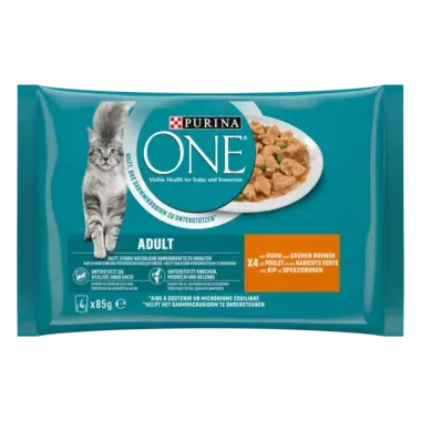 Purina ONE® Adult Huhn und grüne Bohnen Vorderansicht