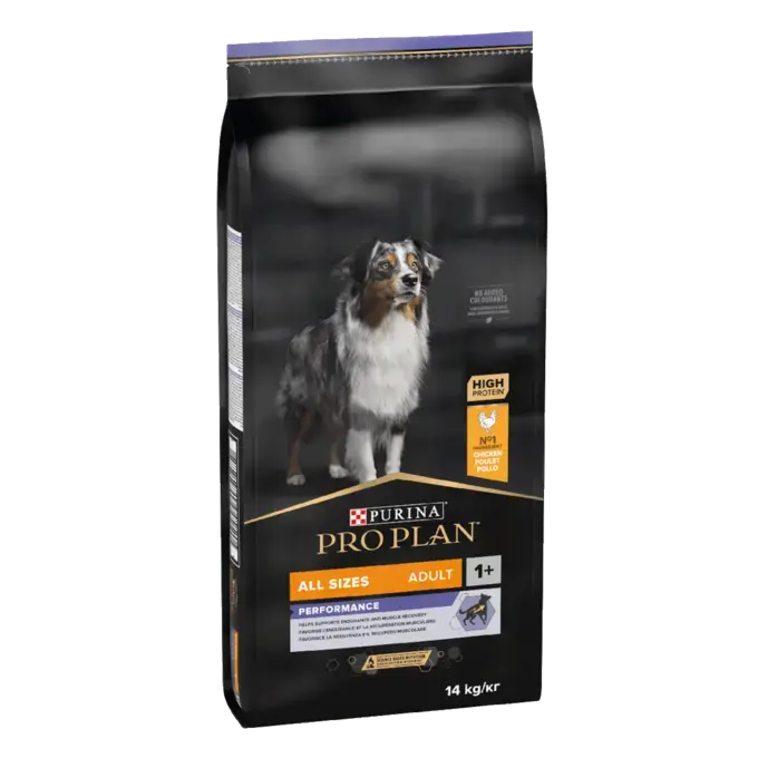 hundefutter kostenlose proben Hundefutter Probierpaket: Kaltgepresstes Hundefutter & gebackene Leckerlis main image 1