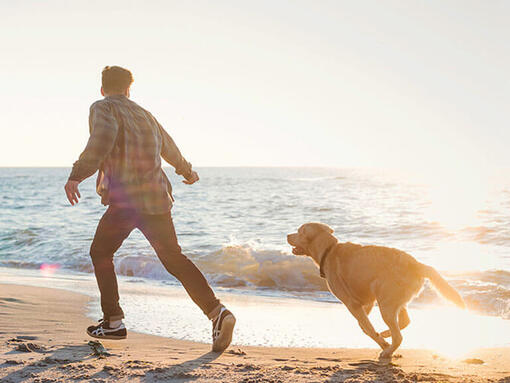 Mann läuft am Strand mit Hund