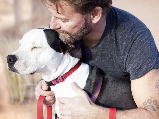 Tätowierter Mann, der Hund umarmt