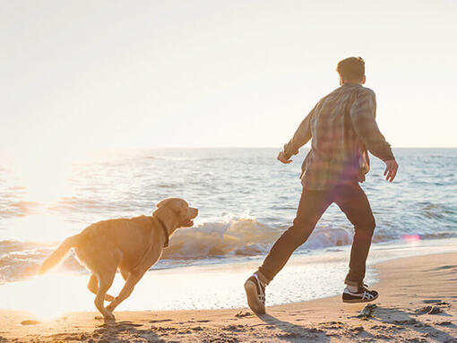 Hund und Besitzer am Strand