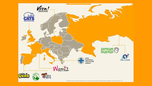 PURINA® Partner in Europa